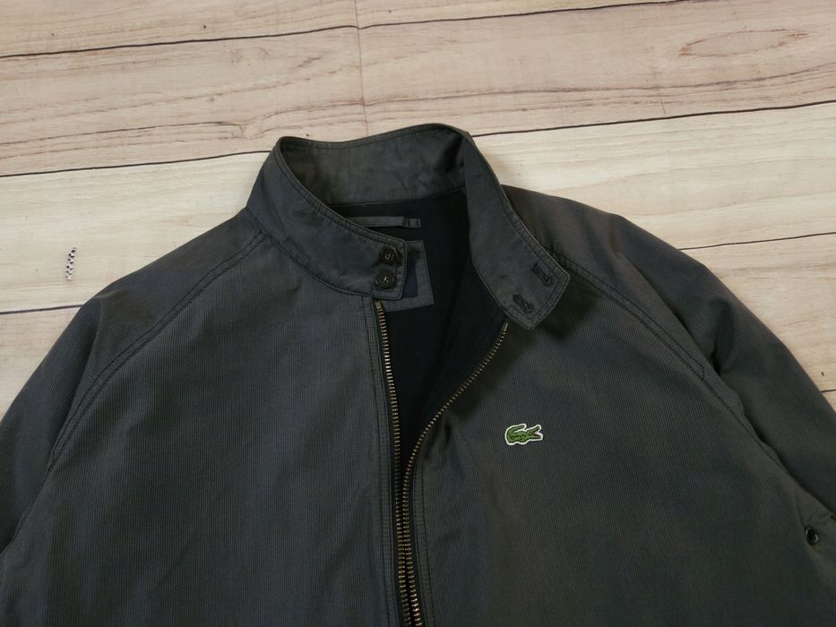 LACOSTE Kurtka Harrington Męska Szara Logowana r. 54