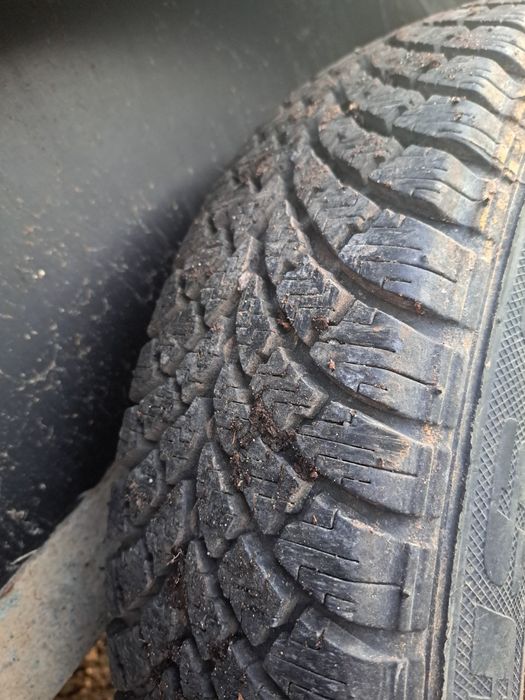 Przyczepka przyczepa do przewozu zwierząt koni super stan