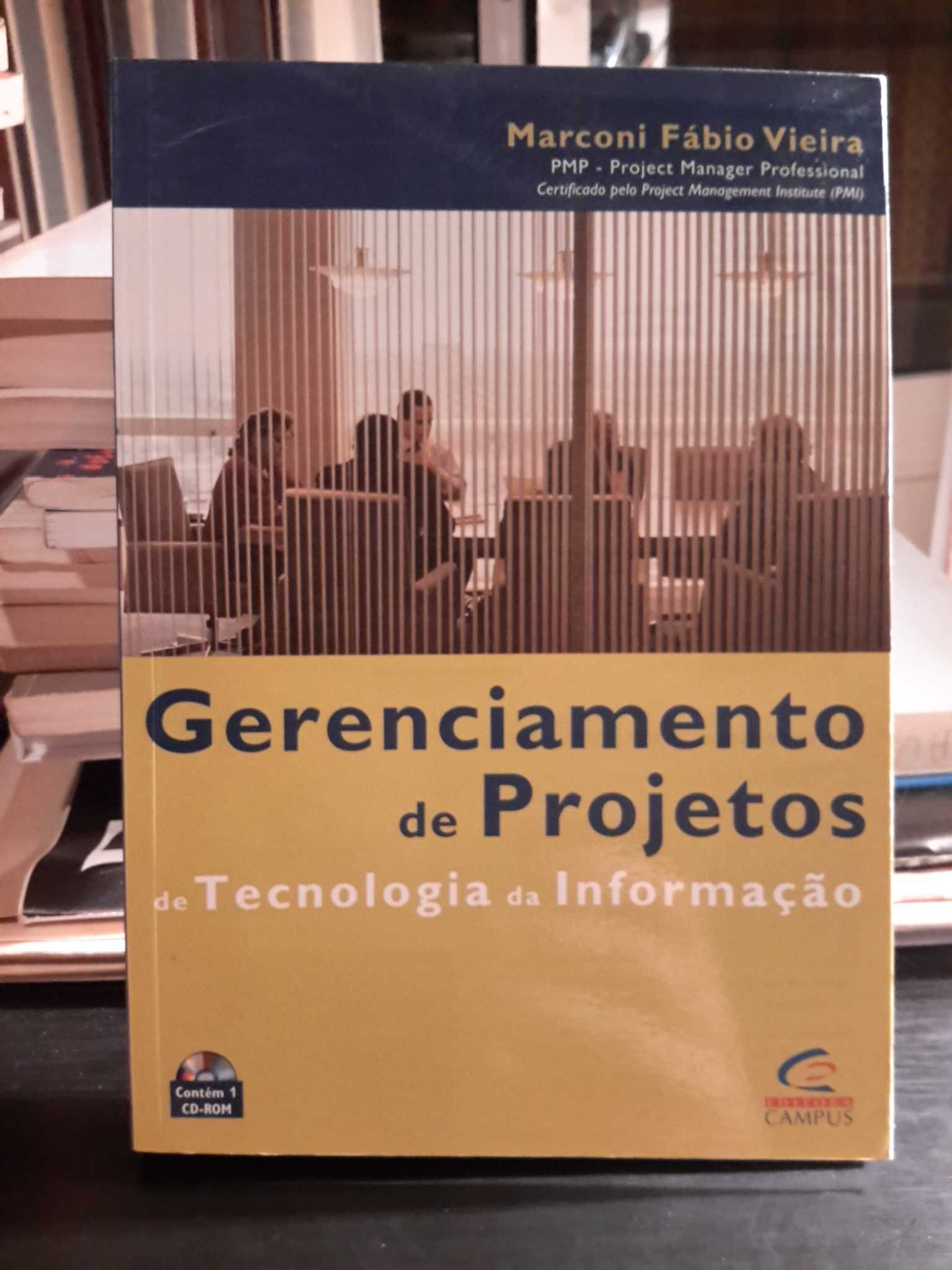 Gerenciamento de Projetos de Tecnologia da Informação