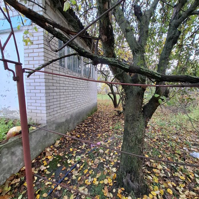 Будинок з великою територією