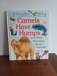 I Wonder Why Camels Have Humps