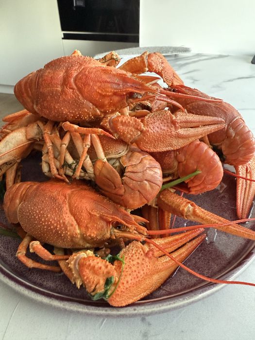 Живі та варені раки