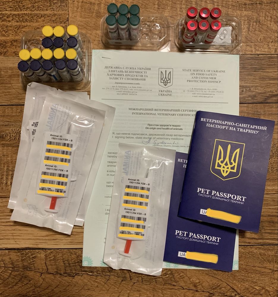 Документи на тварину для оформлення за кордон