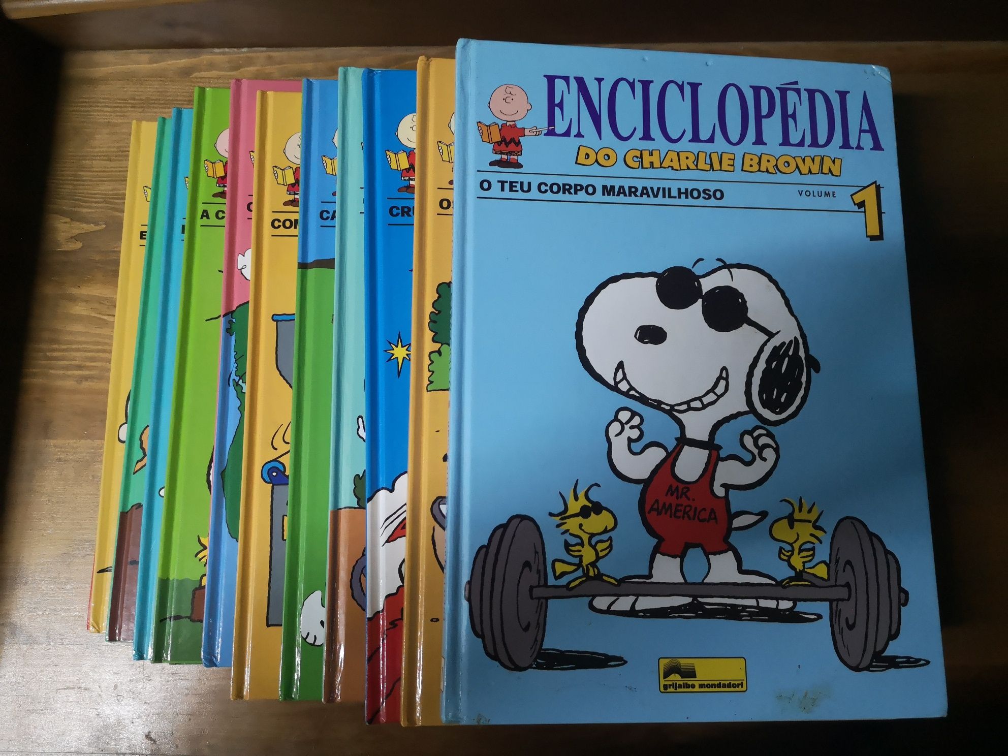 Enciclopédias e Dicionários