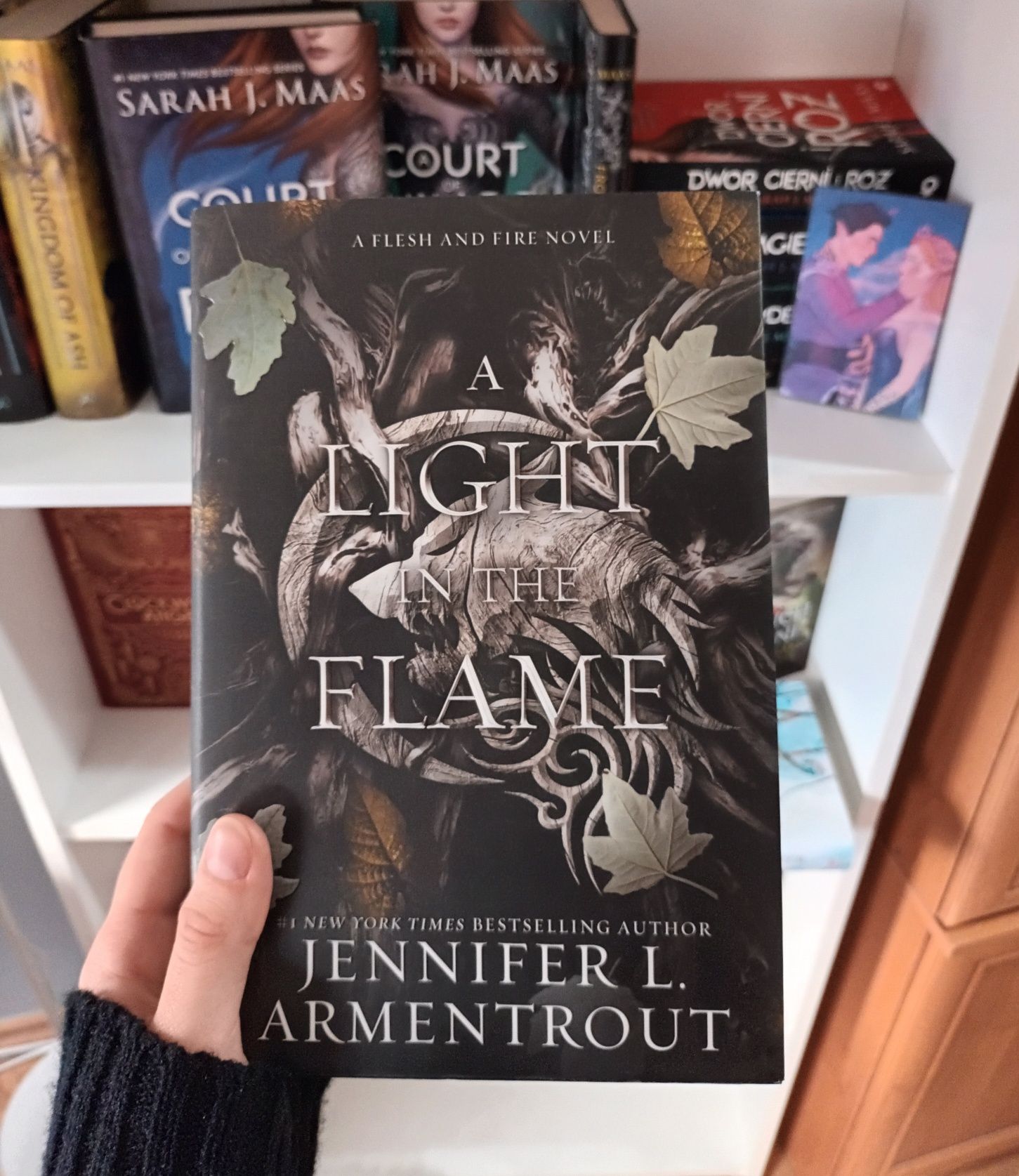 A Light in the Flame - Jennifer L. Armentrout