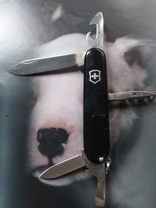 canivetes victorinox (lote)