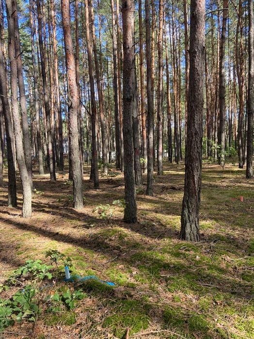 Działka budowlana