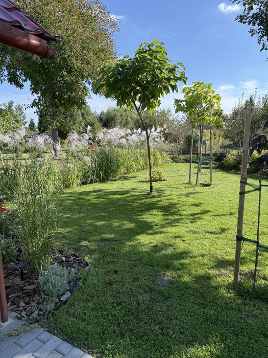 Działka ROD Dzierżona Nysa