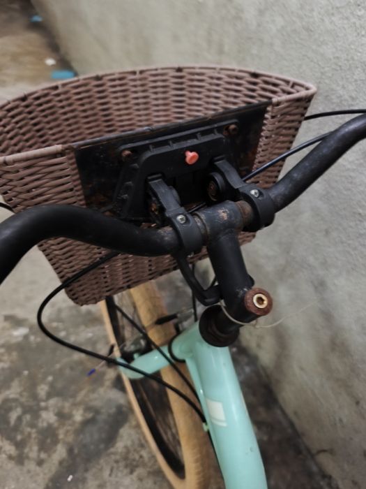 Bicicleta adulto