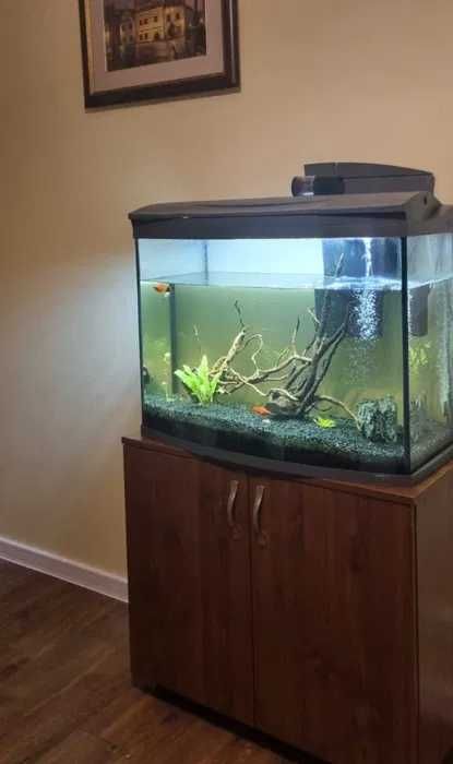 Tetra Akwarium AquaArt Evolution 100l + szafka + dodatki