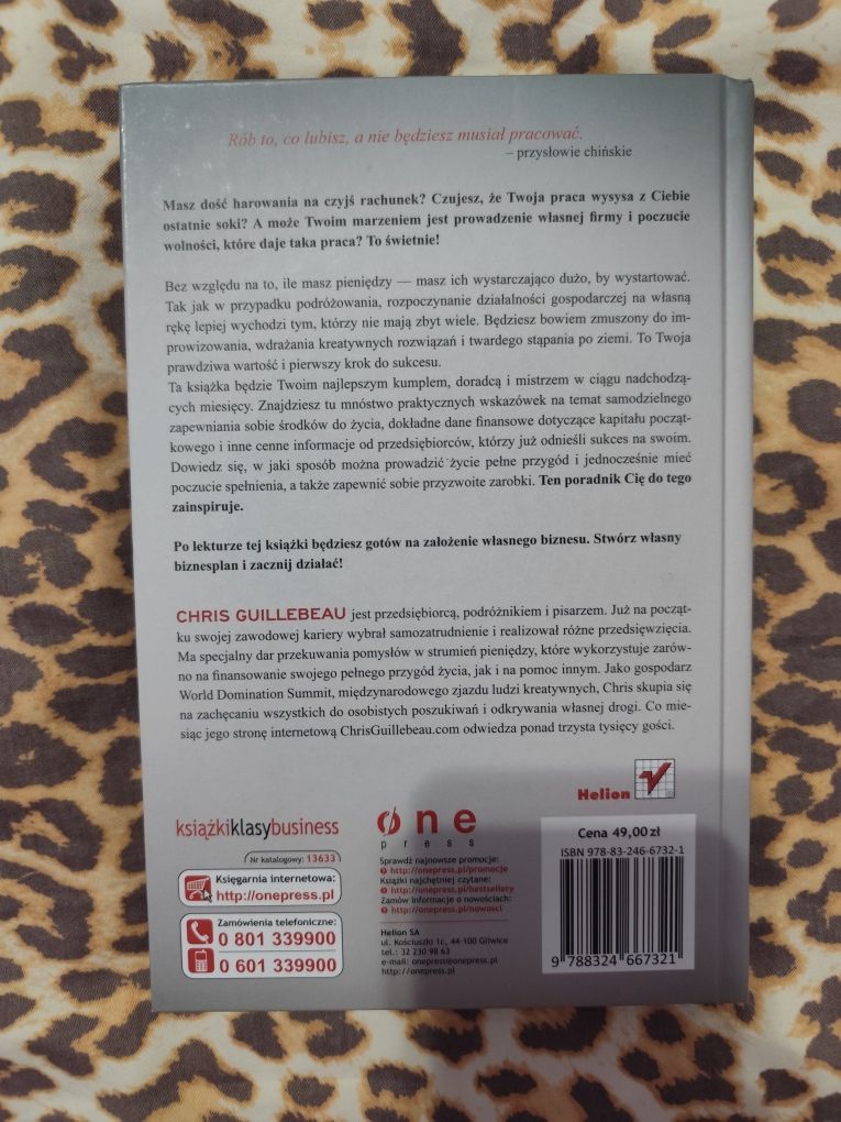 Niskobudżetowy startup. Zyskowny biznes i życie bez frustracji
Chris G