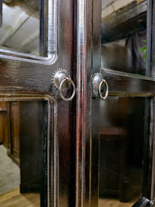 Stylowa witryna/regał z przeszklonymi drzwiami – elegancja i funkcjona