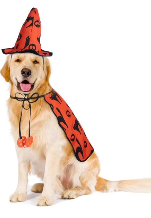 Kostiumy na Halloween dla psa - Peleryna kostiumowa z czapką