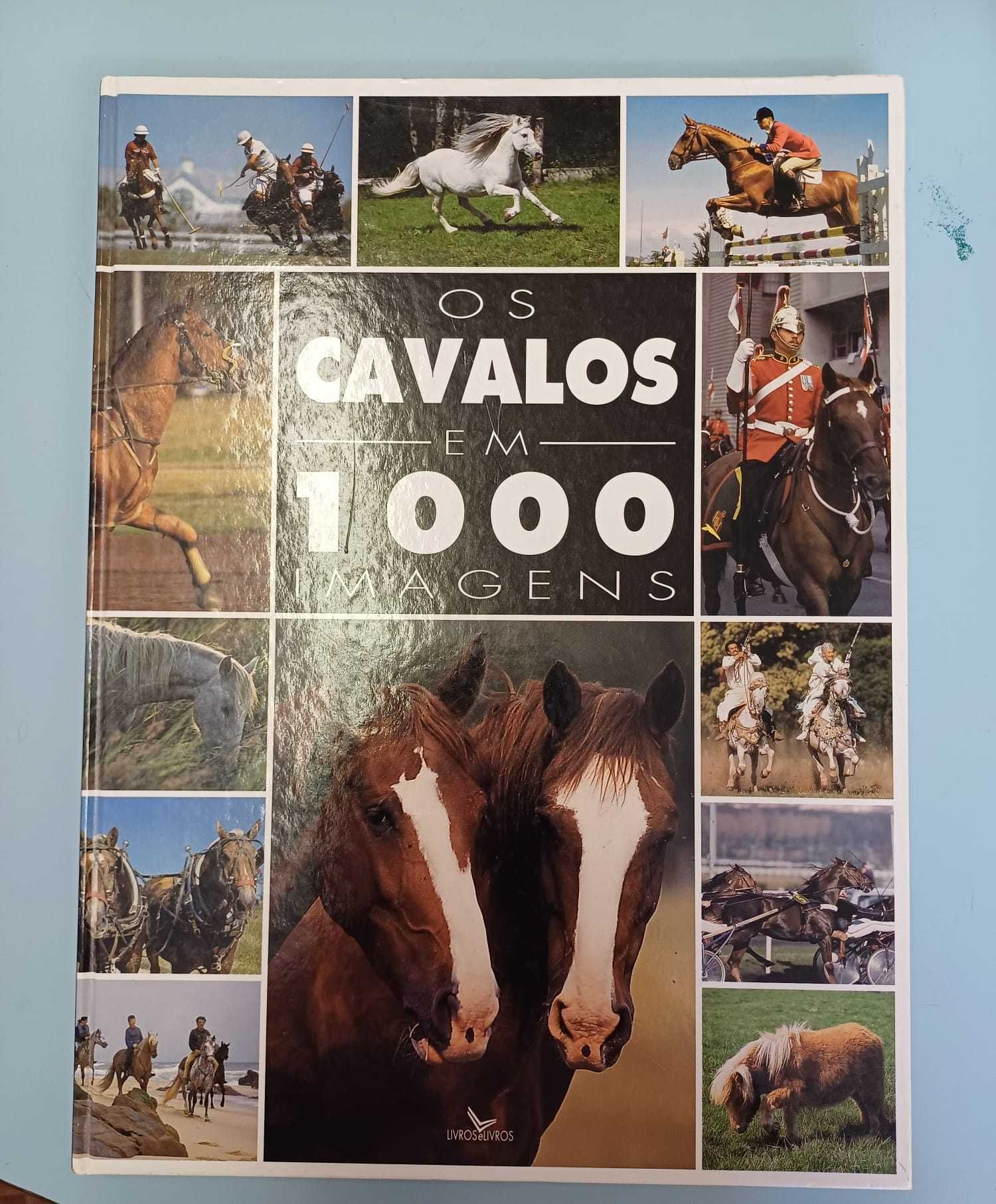 Os cavalos em 1000 imagens