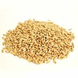 Солод пшеничний Bindewald Wheat 1кг