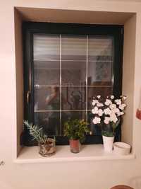 okna drewniane 118x145 zielone