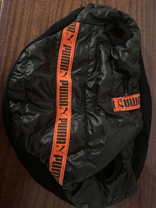 Жилетка для маленьких порід