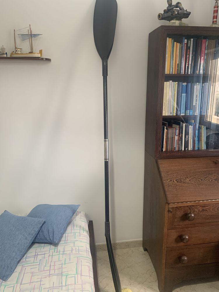 Pagaia em carbono