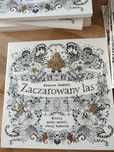 Kolorowanka Johanna Bradford zaczarowany las Godula 10.24