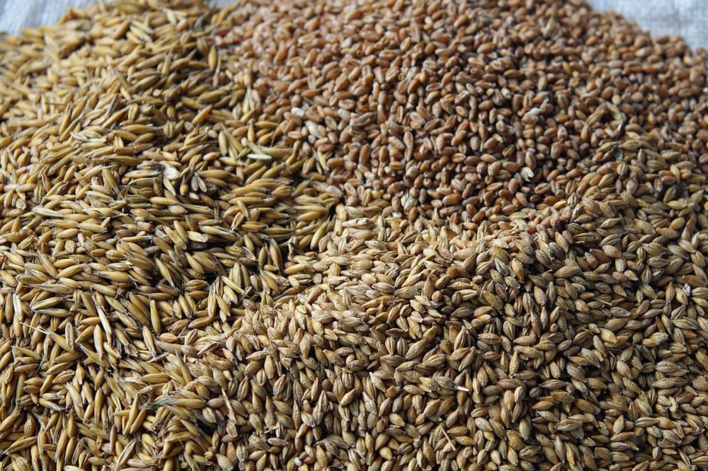 Mieszanka ziaren pasza dla drobiu 25kg