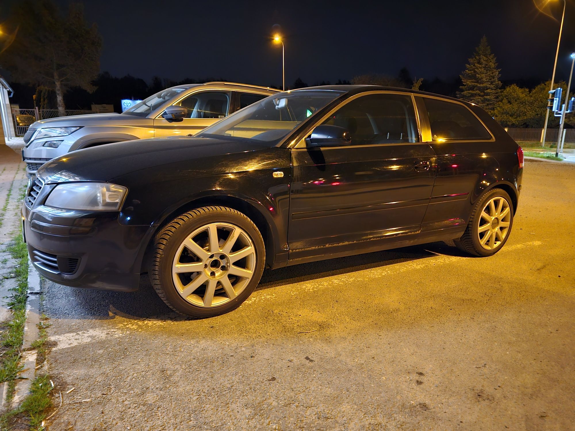 Audi A3 8p 2004 1.9 tdi