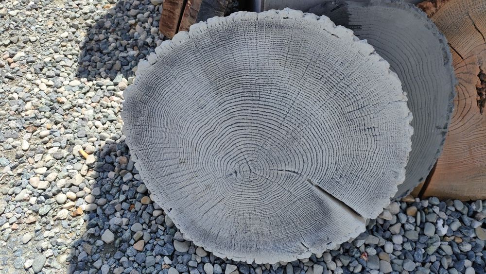Pień drewnopodobne krążek ogrodowy płyta płytka betonowa taras ogród