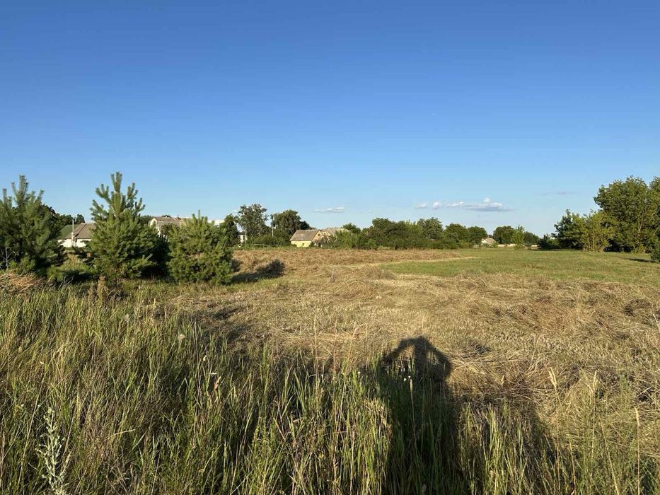 Продам земельну ділянку в с. Осиково