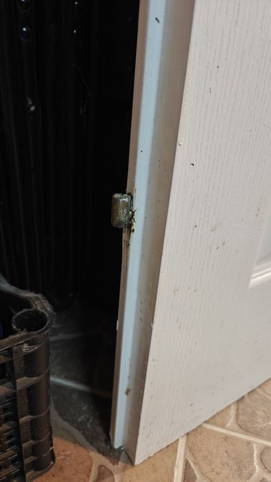 Używane drzwi wewnętrzne bez klamki 80 cm