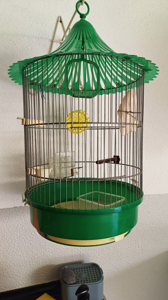 Gaiola para canários