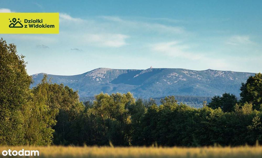 Chmieleń - działka z WZ zatopiona w naturze i spokojnej okolicy