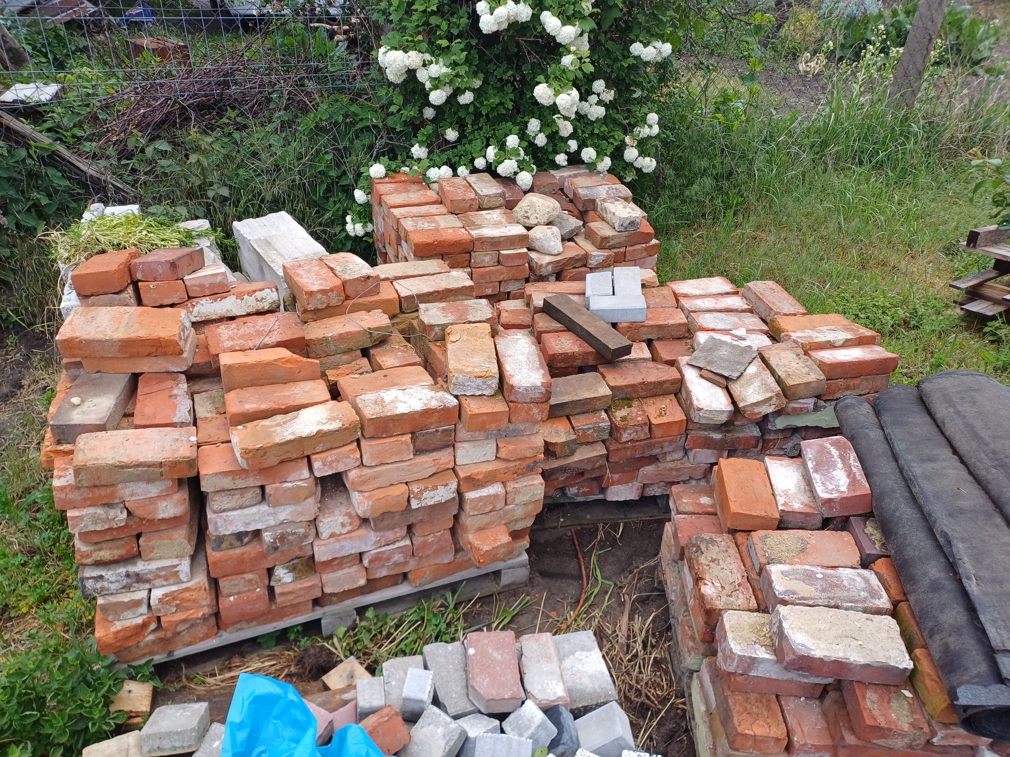 Stara cegła zwykła i gotycka