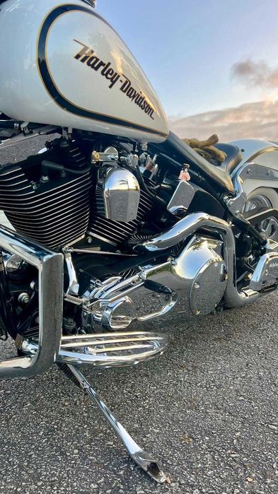 Harley Davidson Softail Springer Chican Style