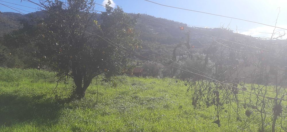 Terreno para construção