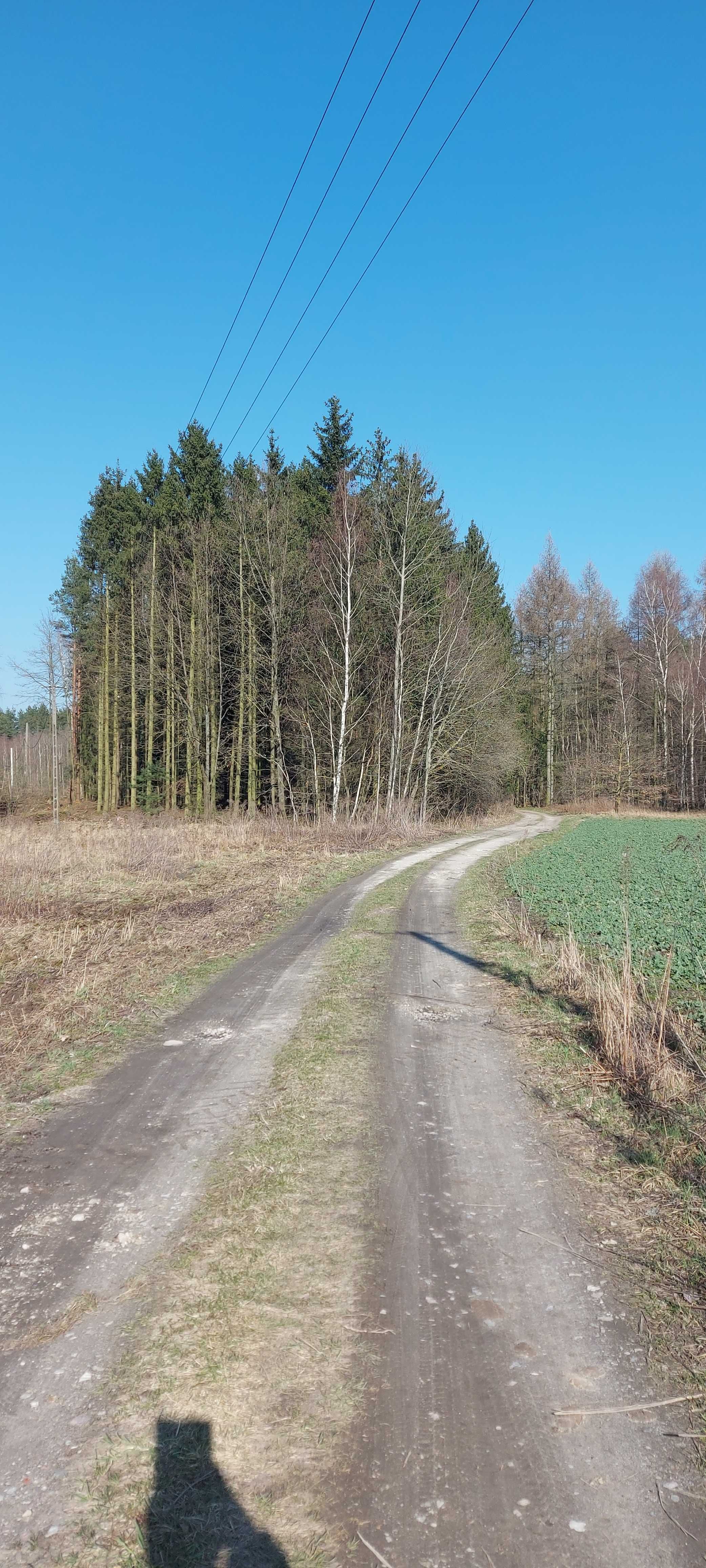 Działka 12 arów Stary Kamień kierunek Grażymowo