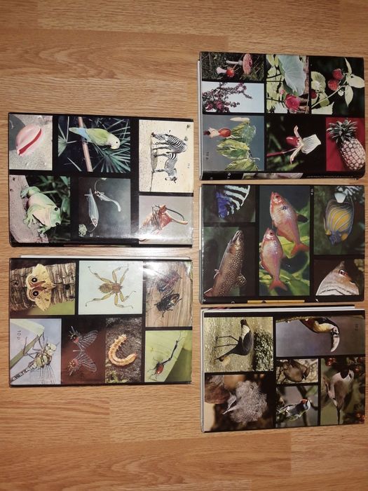 Пять томов книг из серии "Иллюстрированная энциклопедия" Артия Прага.