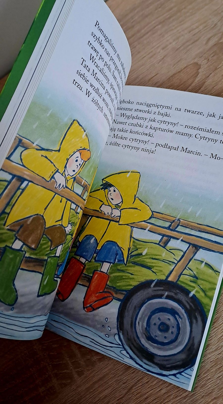 Emil, kanarek i rudy pies - Marta Krajewska