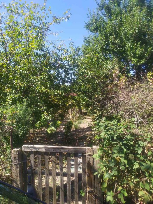 Дачний участок в садовому кооп . «Моторобудівник »