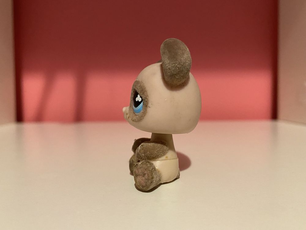 LPS Littlest pet shop miś fuzzy #645