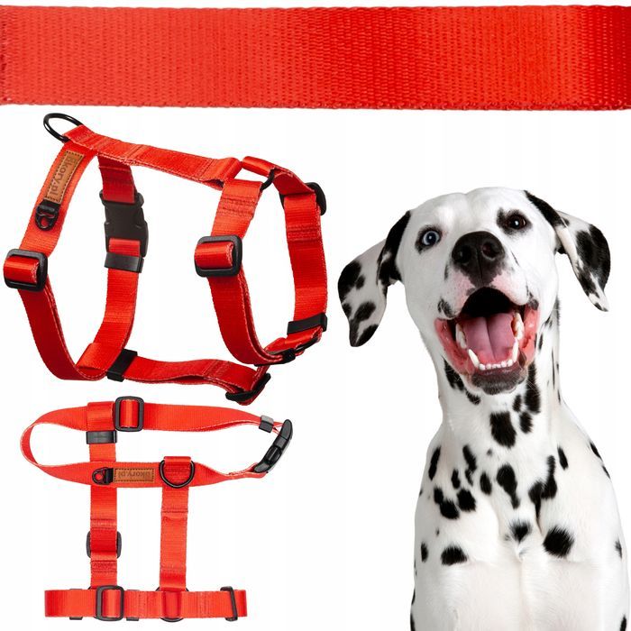 guard szelki dla dużego psa xl 30mm ukory dog alaskan doberman mastif