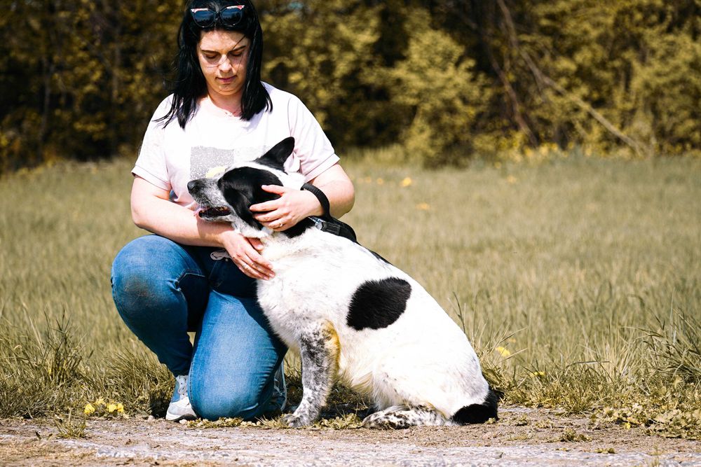 FALA - przepiękna sunia