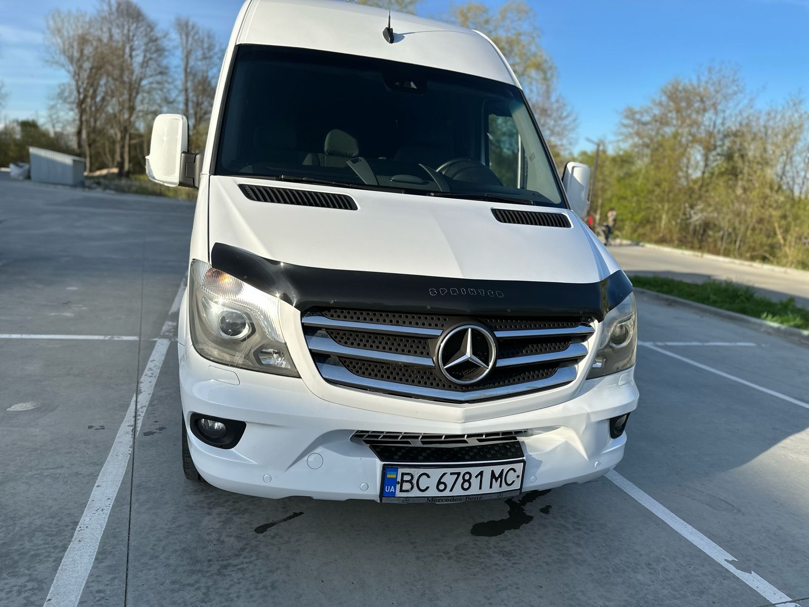 Mercedes sprinter 319