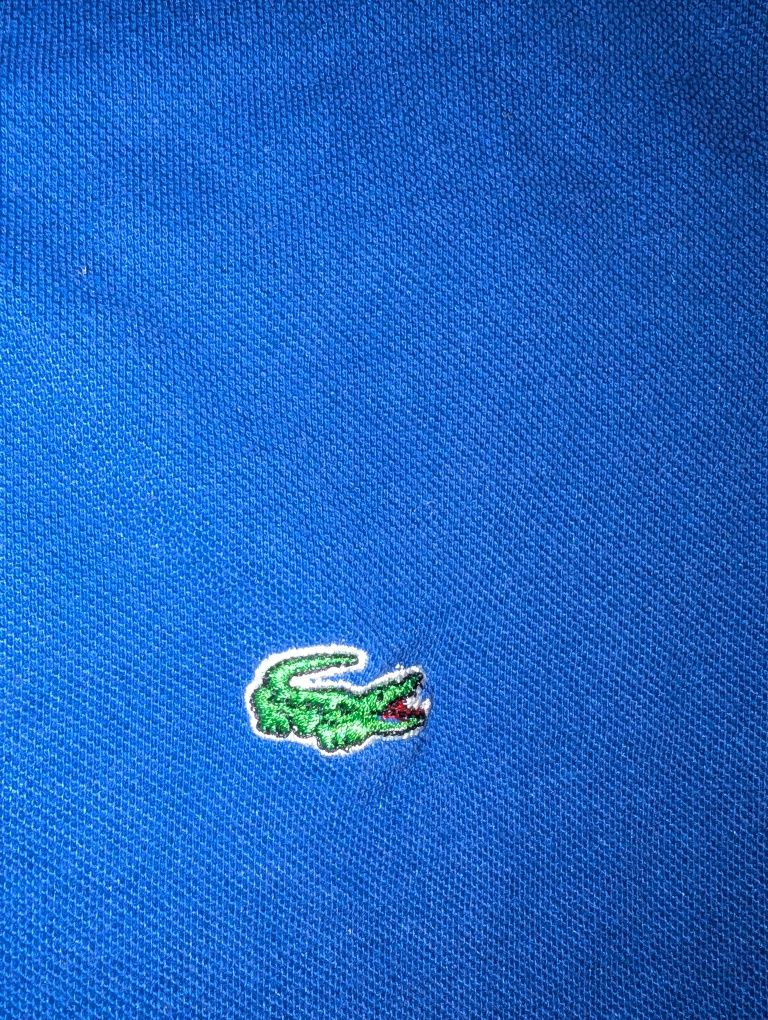 Polo Lacoste-Azul-Tamanho M