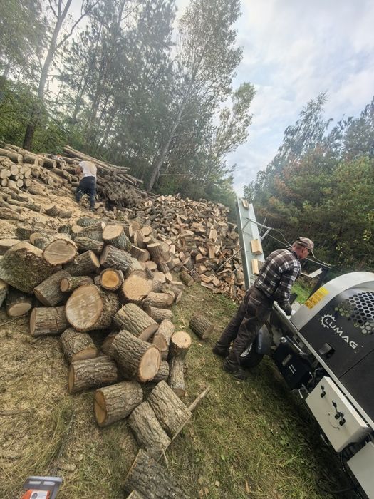 Wynajem i usługi Piło-łuparka SSA500E 9,5kw do drewna