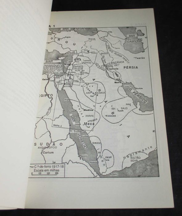 Livro Os Sete Pilares da Sabedoria T. E. Lawrence