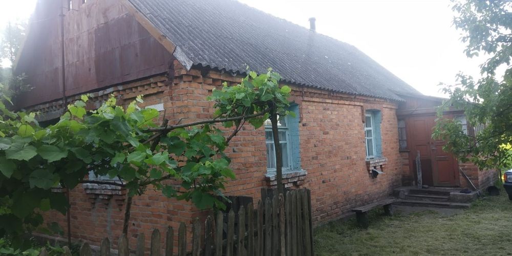 Продам будинок в селі Бабушки