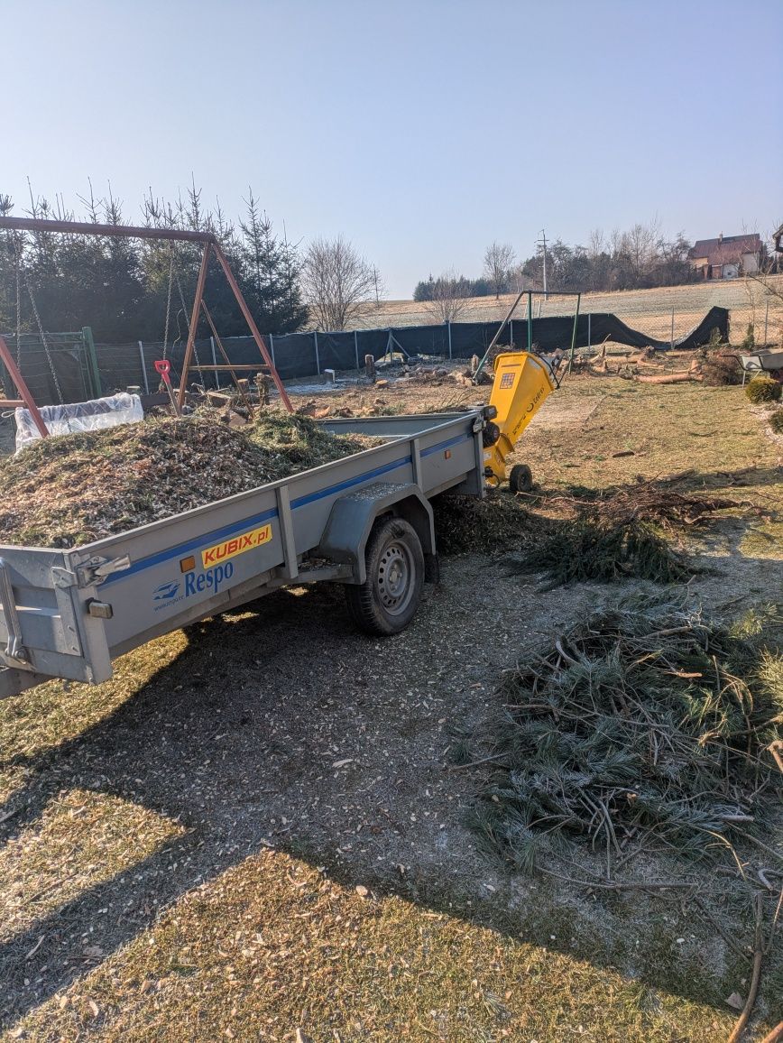 Cięcie Tui/żywopłotów,koszenie,rozdrabnianie gałęzi,usługi ogrodnicze.
