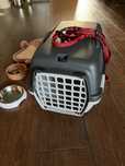 Transporter kot pies szary