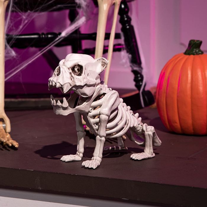 Figura dekoracyjna psi szkielet Halloween