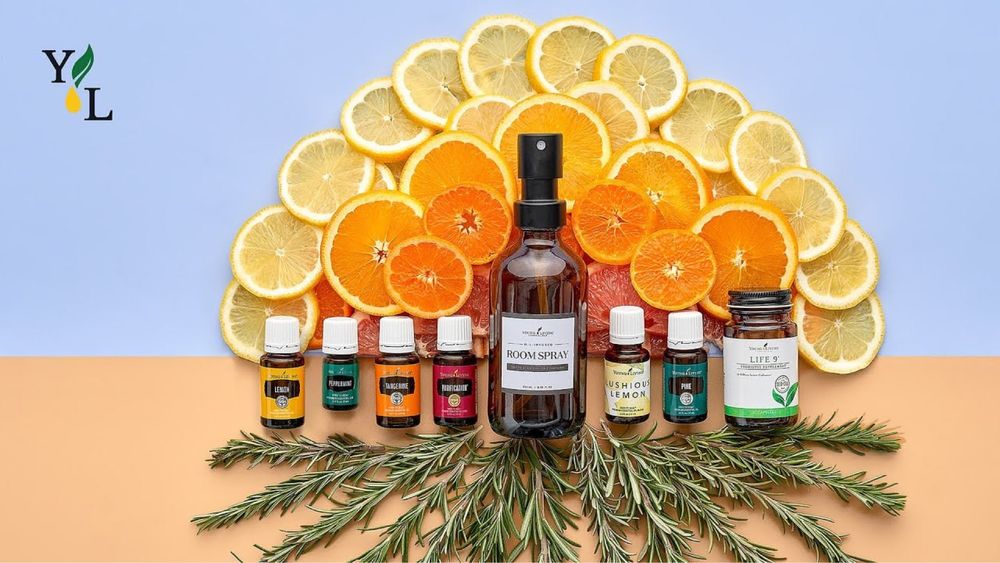 Кейс для зберігання і транспортування ефірних олій компаніі Янг Лівінг