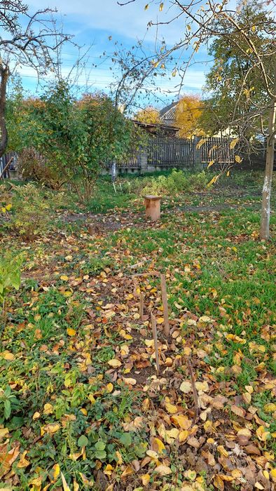 Продам два житлових будинки з великими ділянками які розташовані поряд